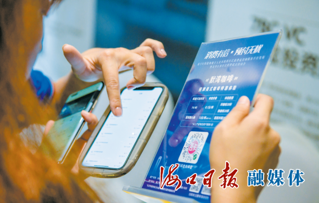 海口:数字赋能产业兴,点亮发展新引擎
